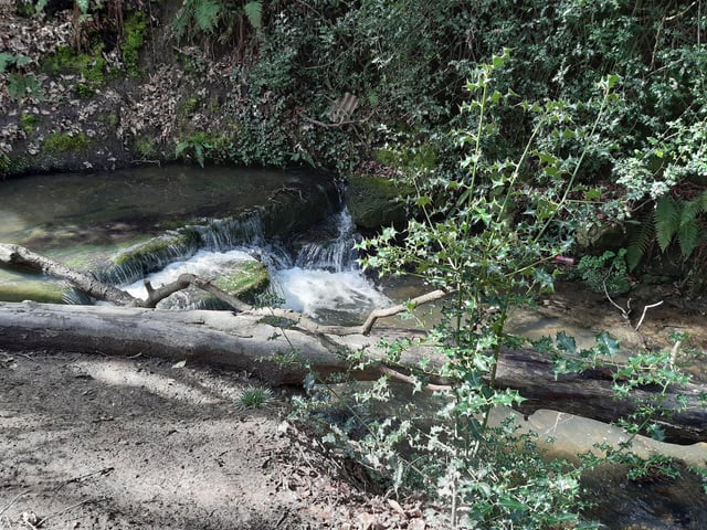 On the left is a small waterfall