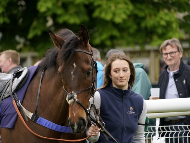 Race 6 The Best Odds Guarenteed At YEEHAA.BET Mares Novices Limited Handicap Hurdle Race at Fontwell on Friday 19 April 2024. www.polopictures.co.uk Fontwell Arundel Clive Bennett 20240419 ©2024 Clive Bennett Photography 19/04/2024 _CAB0668.JPG:Spring jump racing at Fontwell Park