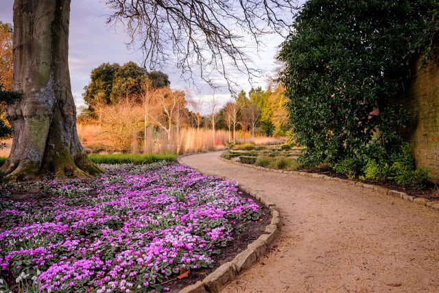 Wakehurst in Ardingly is celebrating the fifth anniversary of its Winter Garden. Picture: Jim Holden/RBG Kew