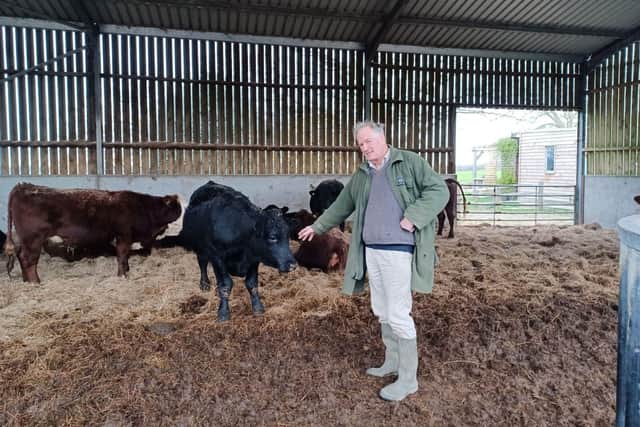 NFU East Sussex chair Martin Hole with cattle on his farm. 
