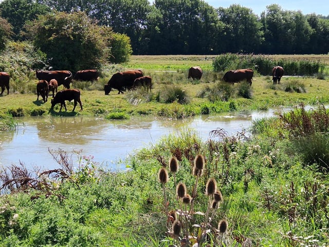 I walk the River Ouse from Harvey's to Hamsey. SR2508285. Pic Steve Robards/Nationalworld