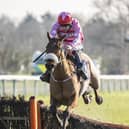 Brewin'upastorm on the way to winning the 2021 National Spirit Hurdle at Fontwell - before coming second in 2022 | Picture: Darren Cool for Fontwell