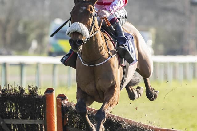 Brewin'upastorm on the way to winning the 2021 National Spirit Hurdle at Fontwell - before coming second in 2022 | Picture: Darren Cool for Fontwell