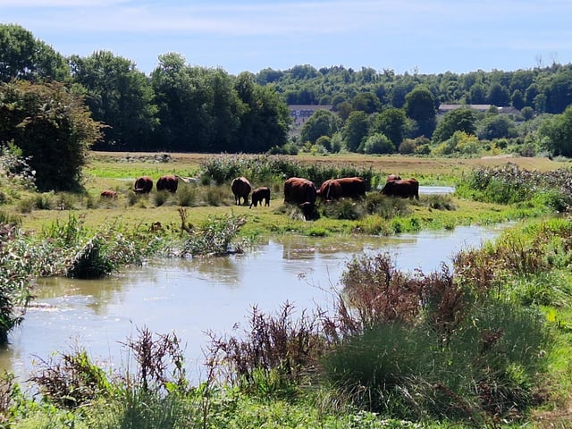 I walk the River Ouse from Harvey's to Hamsey. SR2508285. Pic Steve Robards/Nationalworld