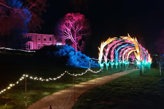The Leonardslee Illuminated night-time trail features huge installations and a magical soundscape