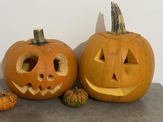Pumpkin picture provided by Mikala Chapman