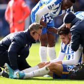 Jakub Moder, a Polish international, sustained an ACL injury in April 2022 but could make his return to the first-team against Nottingham Forest on Saturday. (Photo by Warren Little/Getty Images)