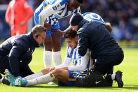 Jakub Moder, a Polish international, sustained an ACL injury in April 2022 but could make his return to the first-team against Nottingham Forest on Saturday. (Photo by Warren Little/Getty Images)