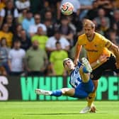 Brighton and Hove Albion have injury issues ahead of Wolves at the Amex Stadium
