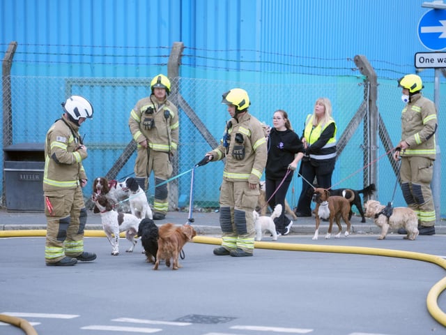 The firefighters at the scene of the fire. Picture: Eddie Mitchell