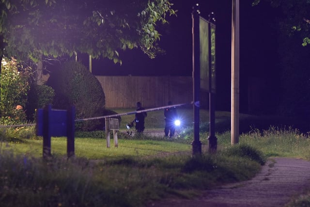 Police and emergency services at the scene in Hailsham last night. Picture by Dan Jessup