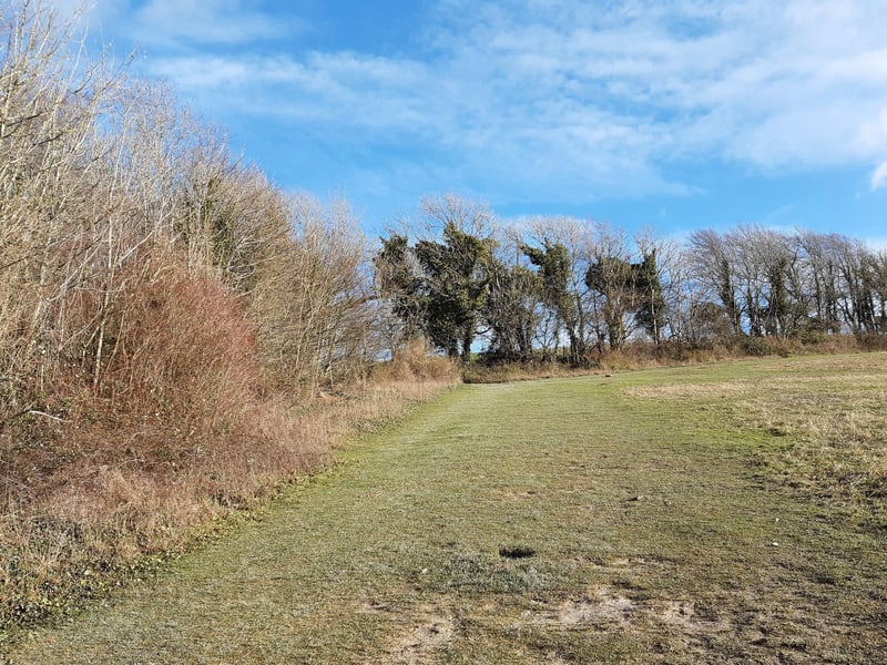 Continue straight up the hill to the top left-hand corner, where you can work your way into the next field up.