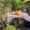 Borde Hill Halloween event and autumn colour. HR26111901 Pic Hollie Robards/Iconic Media Group