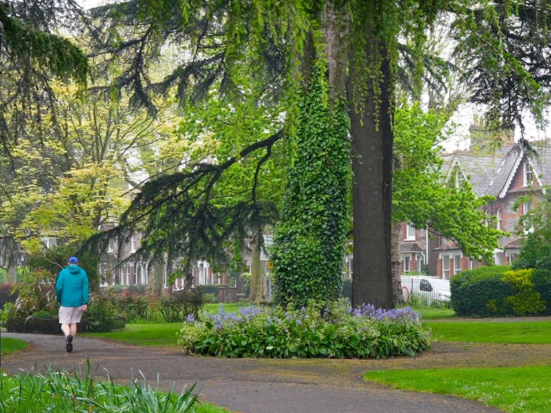 11 Photos: Chichester's historic city walls walk
