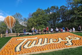 Held in West Sussex, Tulleys Pumpkin Festival is the biggest of its kind in Europe