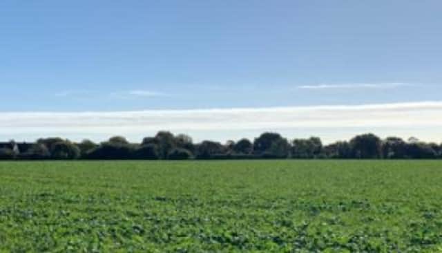 Proposed site for 350 homes In Pagham, on land between Summer Lane and Pagham Road, sourced from Arun District planning portal