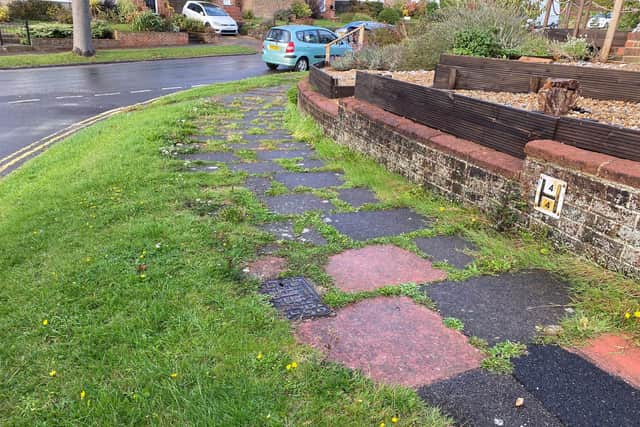 Weeds at the junction of Greenfield Crescent and Wilmington Way (from 2020) | Picture: submitted