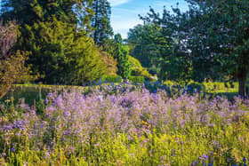 Wakehurst American Prairie Sept 2023, Visual Air (Image:) RBG Kew