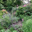 Glorious early summer planting at Casters Brook, the garden of sculptor Philip Jackson.