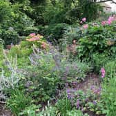 Glorious early summer planting at Casters Brook, the garden of sculptor Philip Jackson.