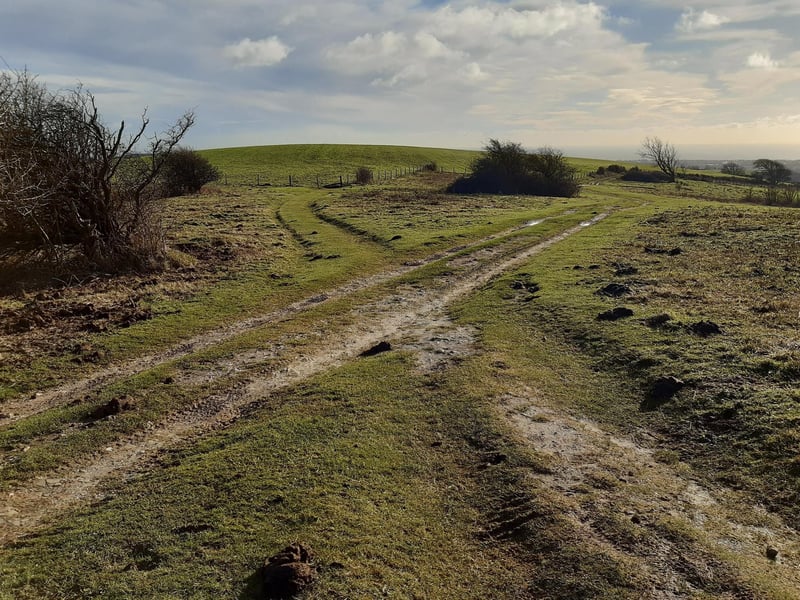 Pass through the gate and follow the footpath ahead, down to an open area of land. You should see a sort of crossroads, where we are turning left.