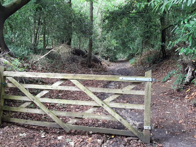 Go past this gate and into the woods