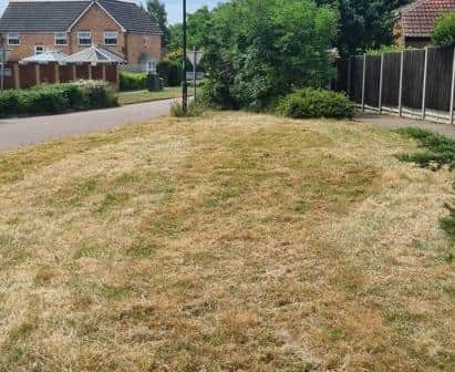 The former wildflower verge in Elizabethan Way after it was mowed