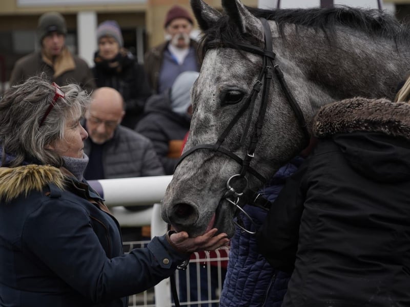 National Spirit Hurdle race day 2025 at Fontwell Park