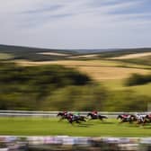 Enjoy all the action at the Qatar Goodwood Festival