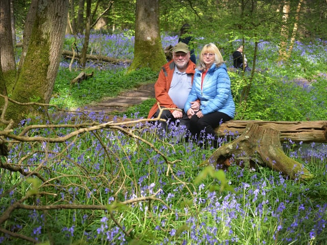 Arlington Bluebell Walk 2024. Photo taken on April 30.