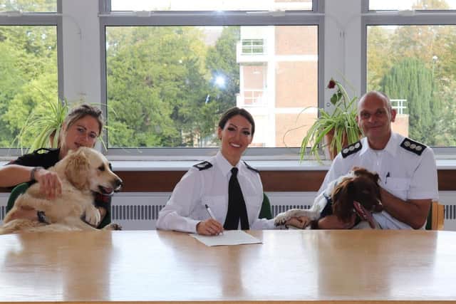 West Sussex Fire & Rescue Service has welcomed two dogs to its team to improve the wellbeing of staff and offer support when living through stressful circumstances. Pictures courtesy of West Sussex Fire & Rescue Service