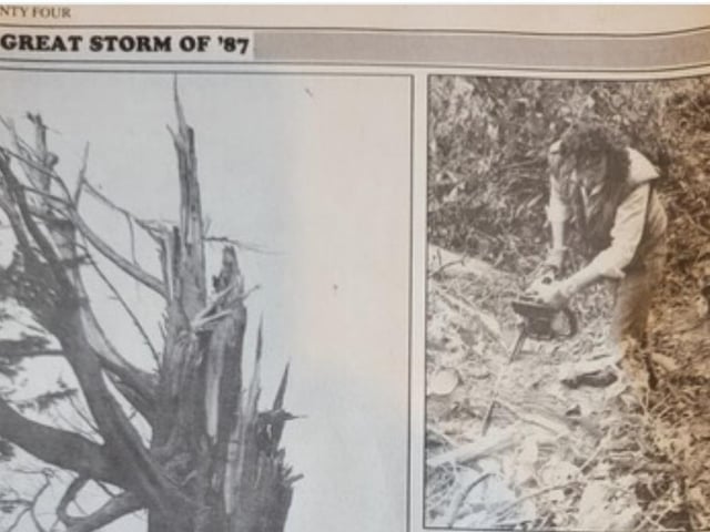 Damage to trees and cleaning up