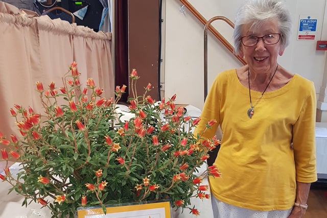 Trophy winner Diane Dumbleton with her best in show plant
