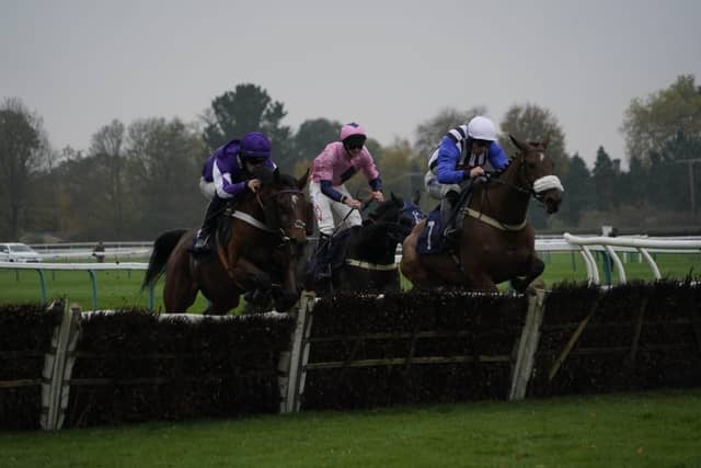 November jump racing at Fontwell Park