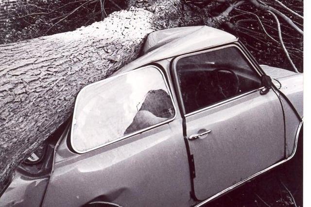 The Great Storm of 1987 in Eastbourne: 21 pictures of the destruction in the town