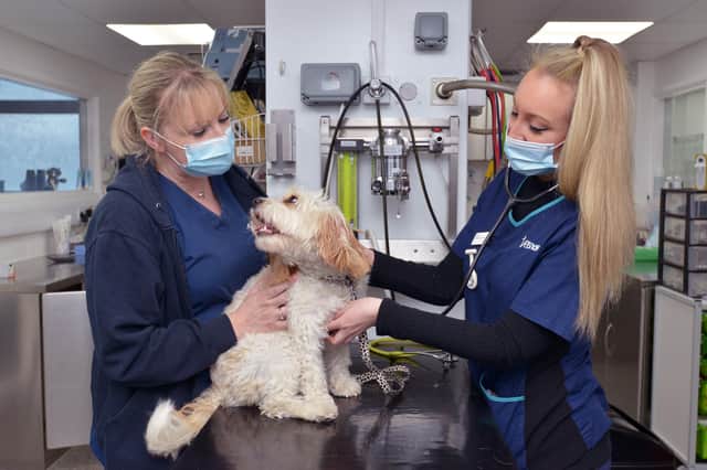 From emergency C-sections to helping pets rest, it’s a hugely varied role