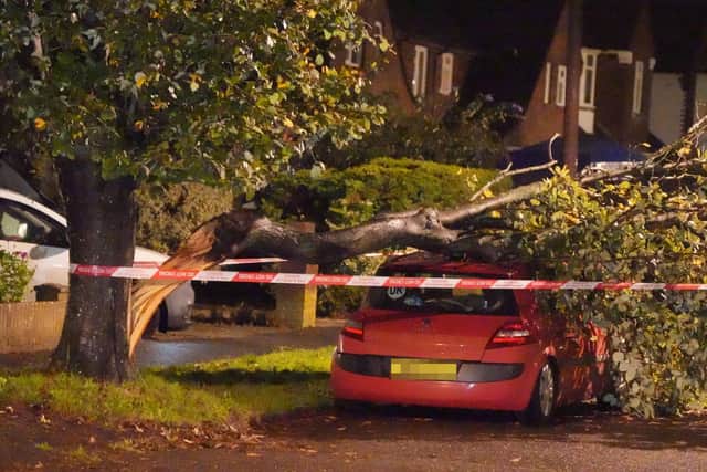 Tree branch on car in Parkside Avenue, Littlehampton