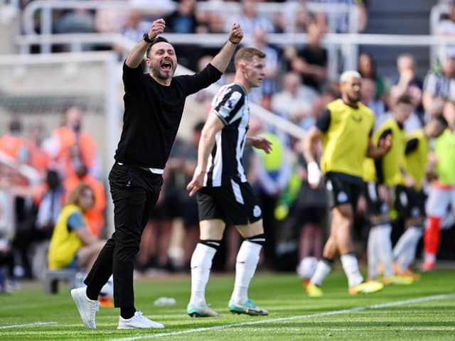 NEWCASTLE UPON TYNE, ENGLAND - MAY 11: Roberto De Zerbi, Manager of Brighton & Hove Albion, gestures during the Premier League match between Newcastle United and Brighton & Hove Albion at St. James Park on May 11, 2024 in Newcastle upon Tyne, England. (Photo by Stu Forster/Getty Images)