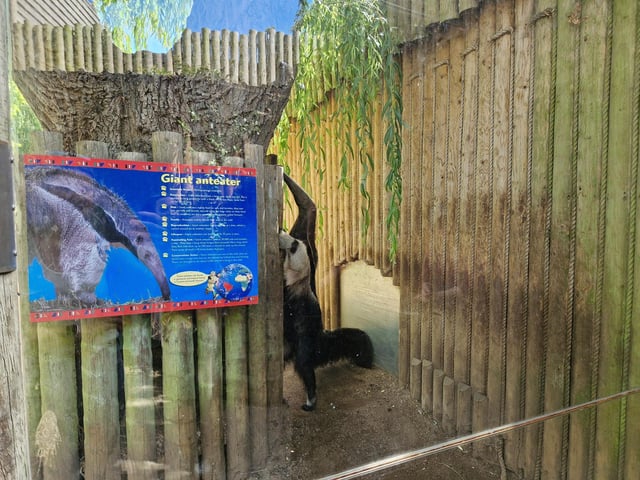 Drusillas offers animals, rides, play areas and more for families from Sussex and beyond