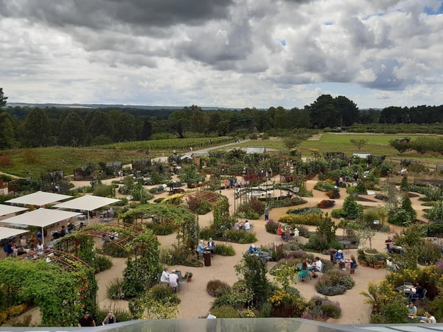 RHS Garden Wisley is a great day out, and it's only just outside of Sussex. Picture: Katherine HM