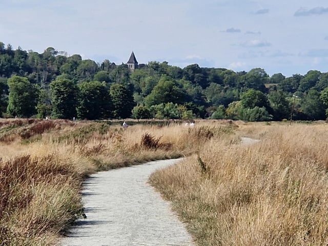 I walk the River Ouse from Harvey's to Hamsey. SR2508285. Pic Steve Robards/Nationalworld