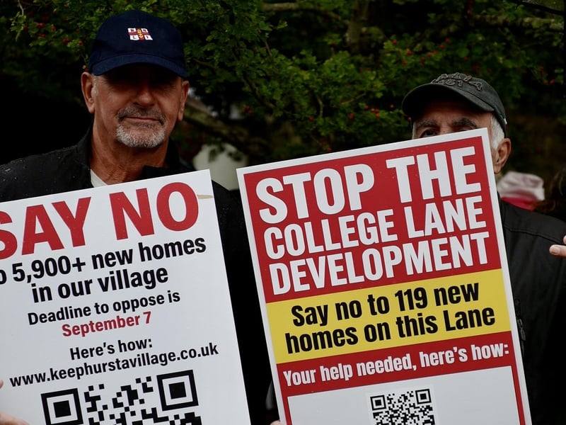 Demonstrators on Hurstpierpoint village green. Picture: Kelly Hyatt