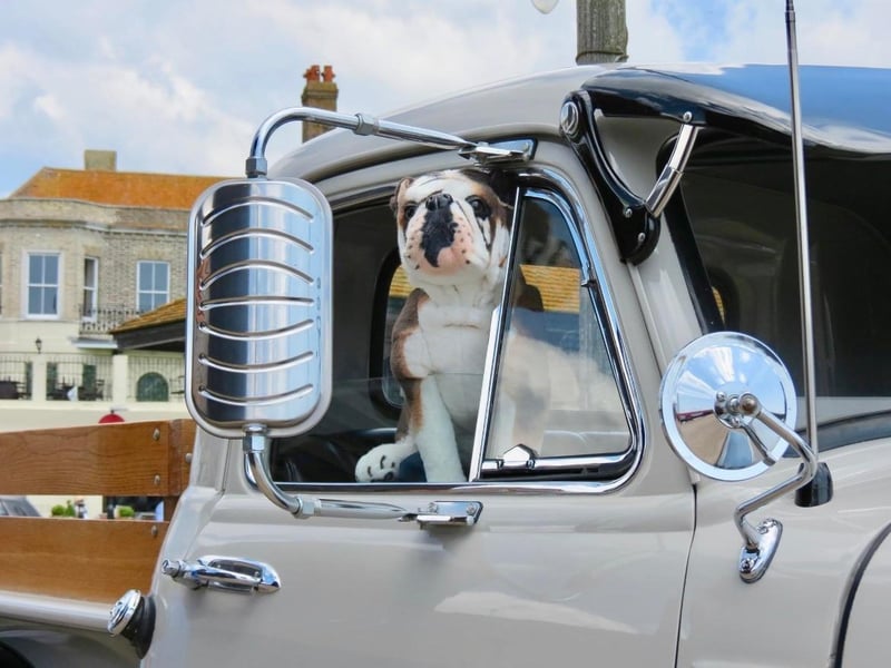 American classic car show
