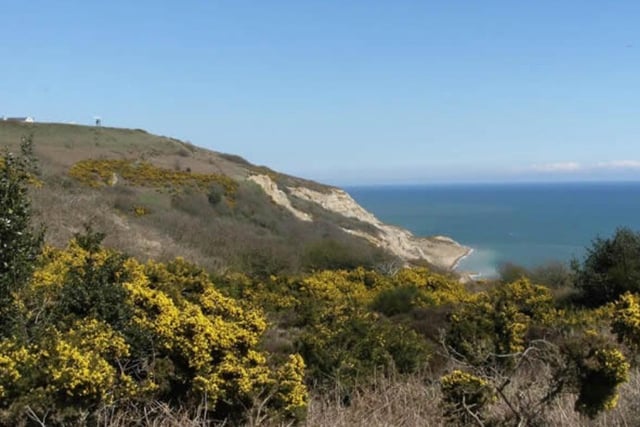 Hastings Country Park is one of the areas involved in the bee project