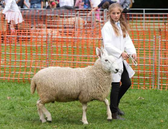 WORTHING SHEEP FAIR 2022:The Findon Sheep Fair, which included a minute's silence for the Queen twice during the day, was attended by huge crowds of people:Findon Sheep Fair
