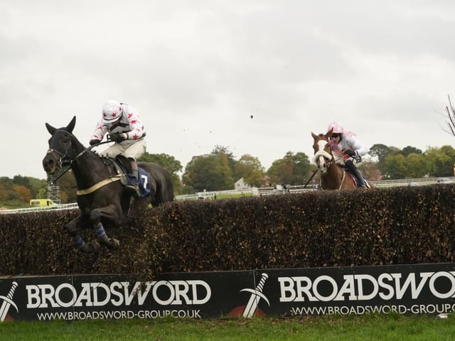 Fontwell Park jump racing action, October 2026