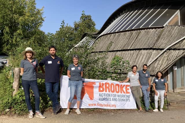 An international equine charity hosted an event at the Weald and Downland Museum where it thanked its supporters for making a difference to the lives of working horses and donkeys worldwide. Photo: contributed