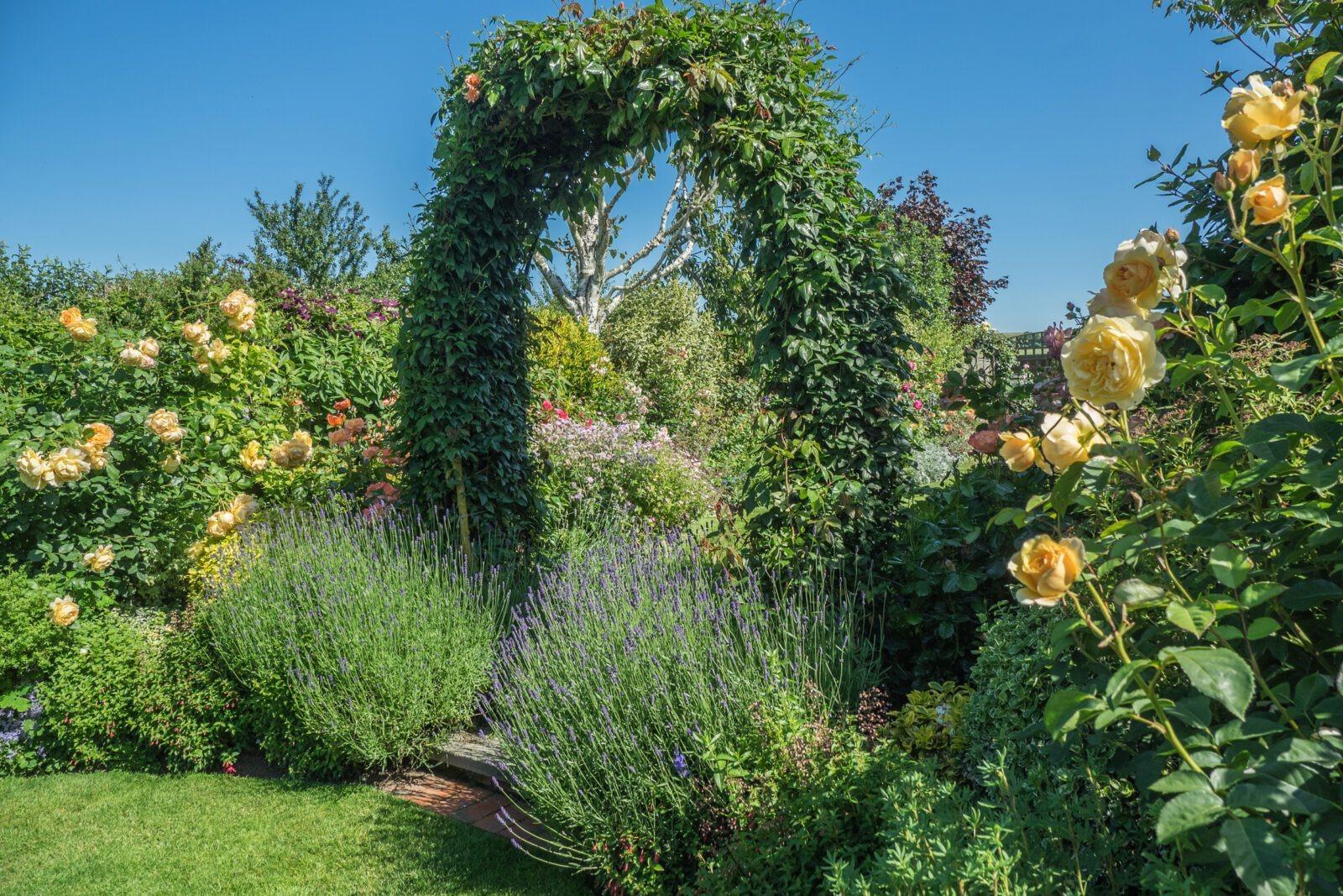 A stunning NGS garden in the beautiful rural setting of West Stoke is holding a POP UP open day - Vimarsana News
