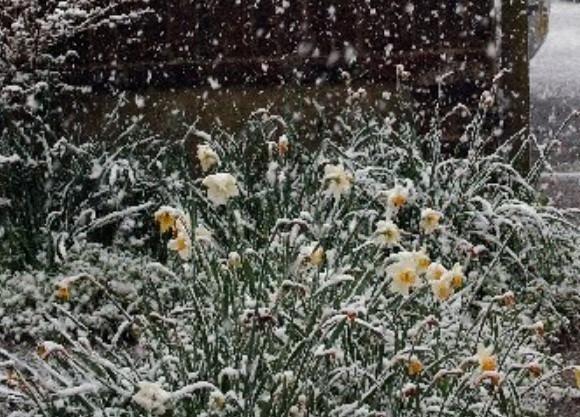 Snow in Worthing on April 6, 2008