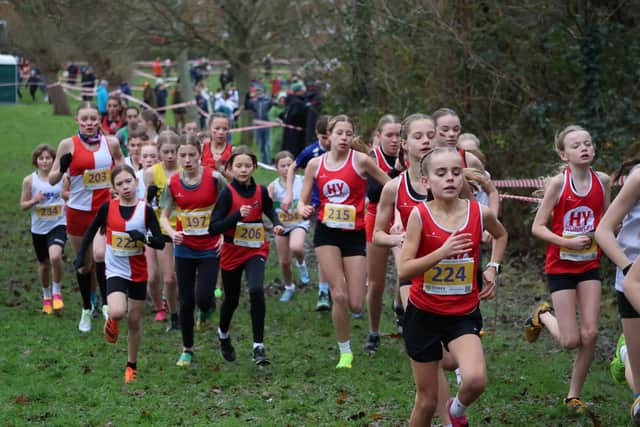HY athletes host Sussex XC Championships - and shine in it too